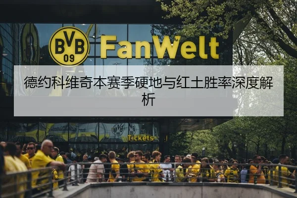 德约科维奇本赛季硬地与红土胜率深度解析